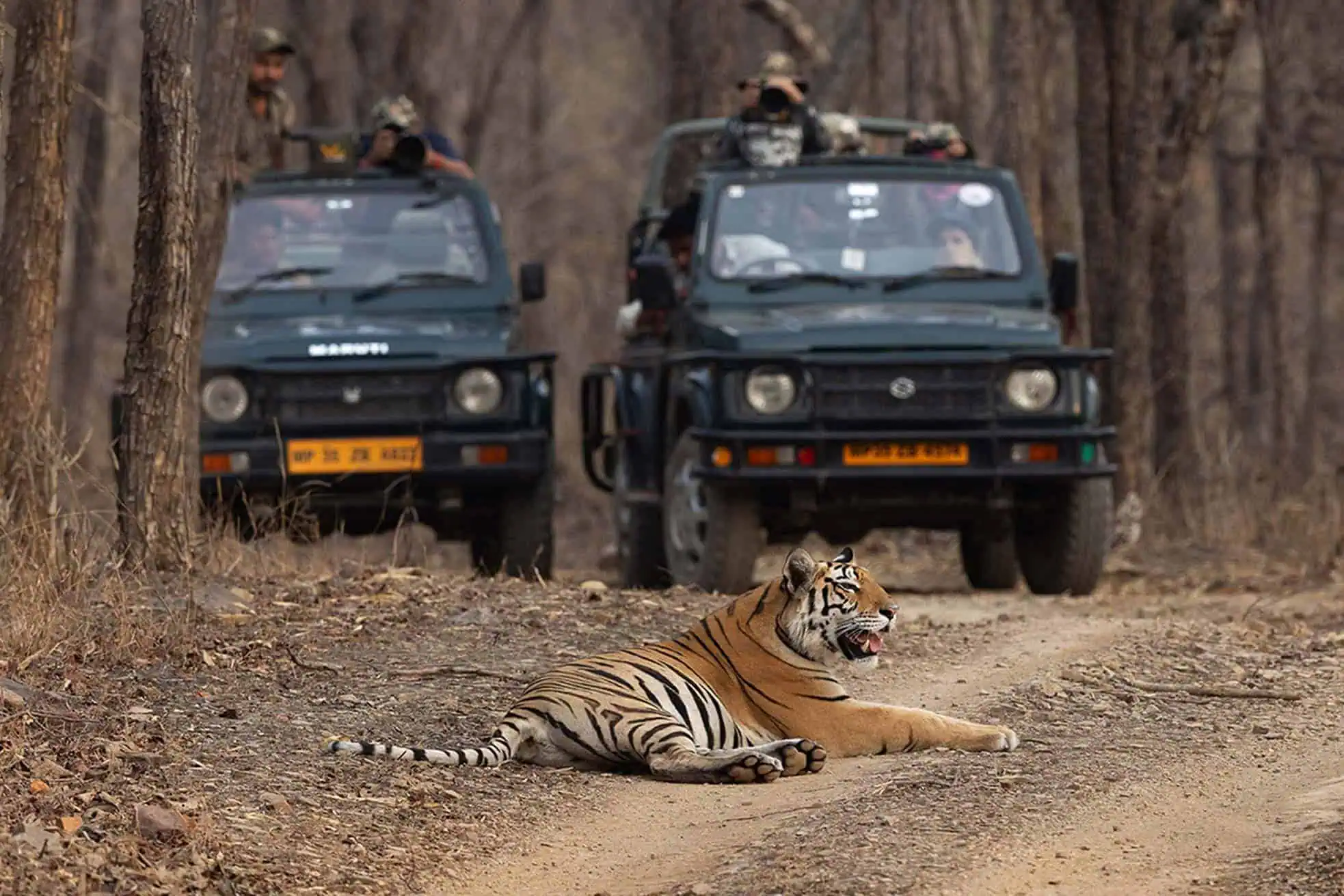 Things to do in Dudhwa National Park