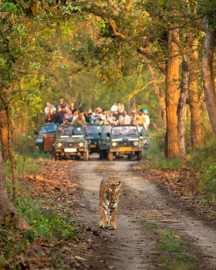 GUIDELINES FOR VISITING DUDHWA NATIONAL PARK